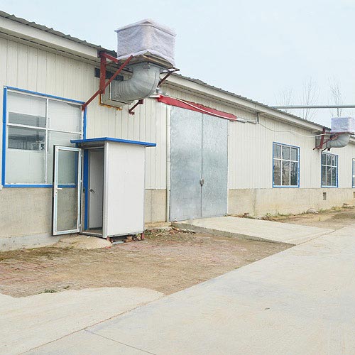 企業(yè)風貌